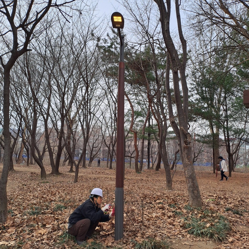 관공서 가로등 보안등 공원등 설치 공사 시공 사진 3