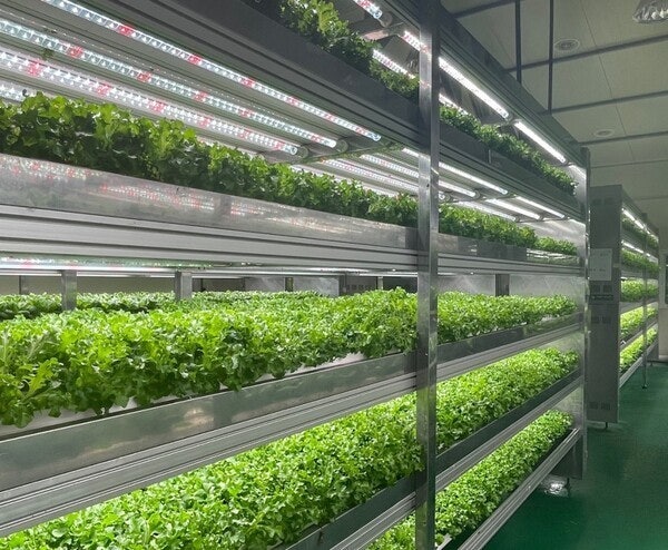 스마트팜 농사용 전기 신청 및 전기공사 시공 사진 3