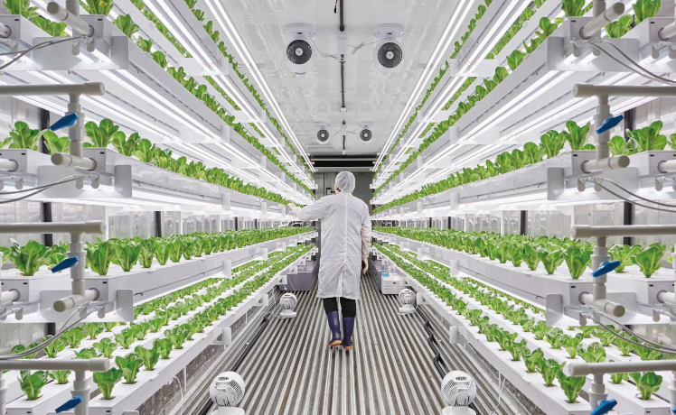 스마트팜 농사용 전기 신청 및 전기공사 시공 사진 4