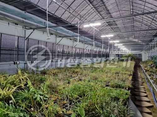 농사용 전기 증설 승압 35kW 공사 시공 사진 14