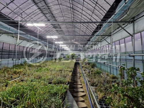 농사용 전기 증설 승압 35kW 공사 시공 사진 15