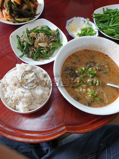 용인 단독주택 테슬라 월커넥터 설치 공사 시공 사진 13