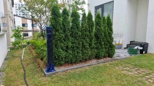 성남 단독주택 테슬라 월커넥터 설치 공사 시공 사진 8