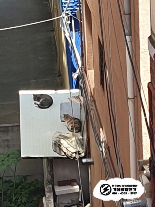 안양시 단독주택 한전 계량기 신규 설치 공사 시공 사진 5