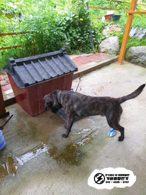 전주 인근 단독주택 EV충전기 신규 설치 공사 시공 사진 9