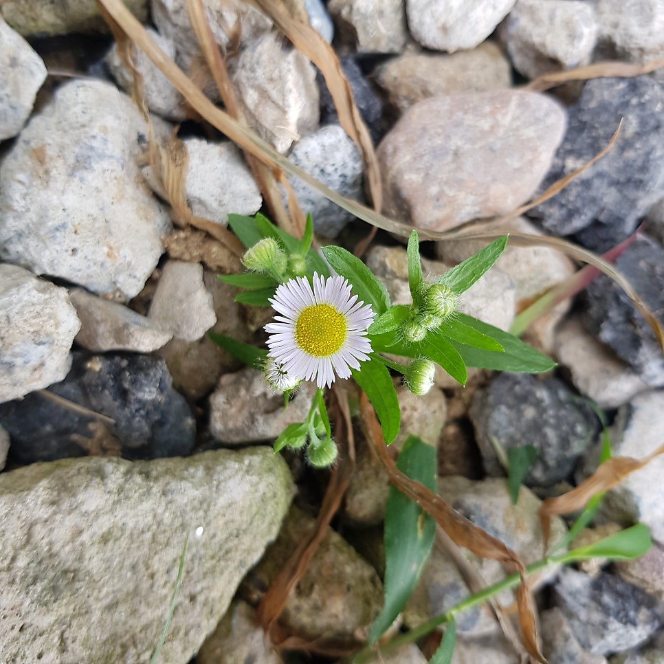 완주군 단독주택 비공용 전기차 충전기 설치 공사 시공 사진 4