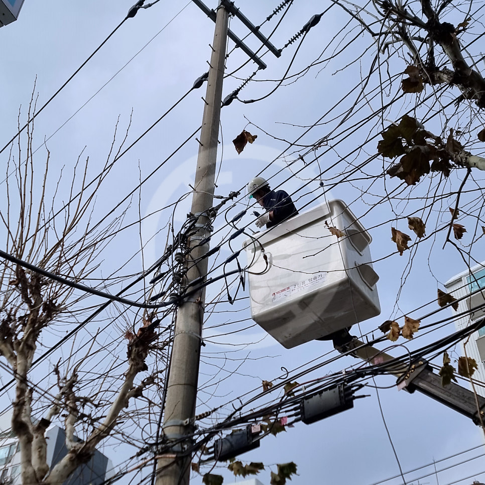 건물 전기 인입선 교체 공사 시공 사진 12