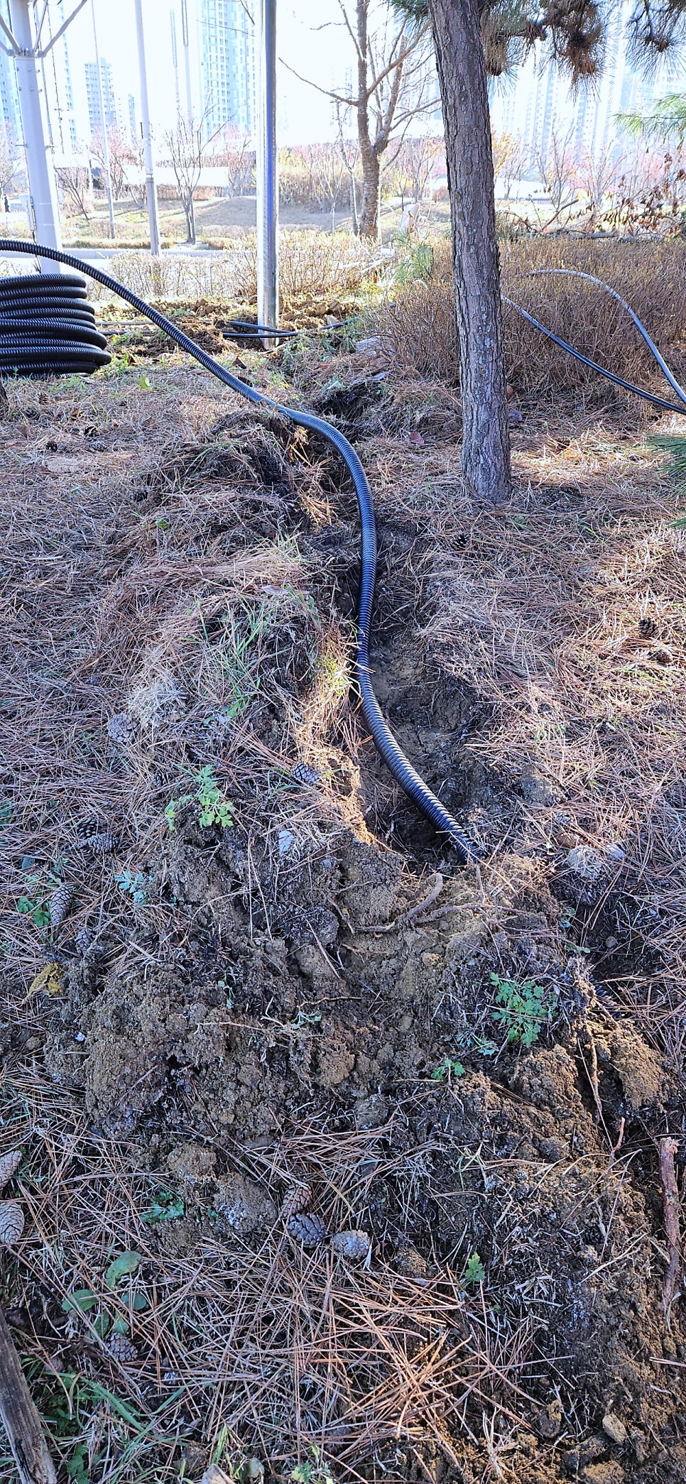 임시전기 한전 계량기 신청 공사 시공 사진 5